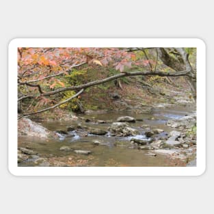 Autumn scene in Natural Bridge, Virginia Sticker